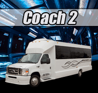 Detroit Party Bus 25 to 30 passenger