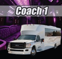 Detroit Party Bus (25 to 30 Passenger Limousine Bus)