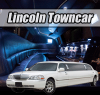White Lincoln Town Car Limousine Detroit, Ann Arbor, Troy