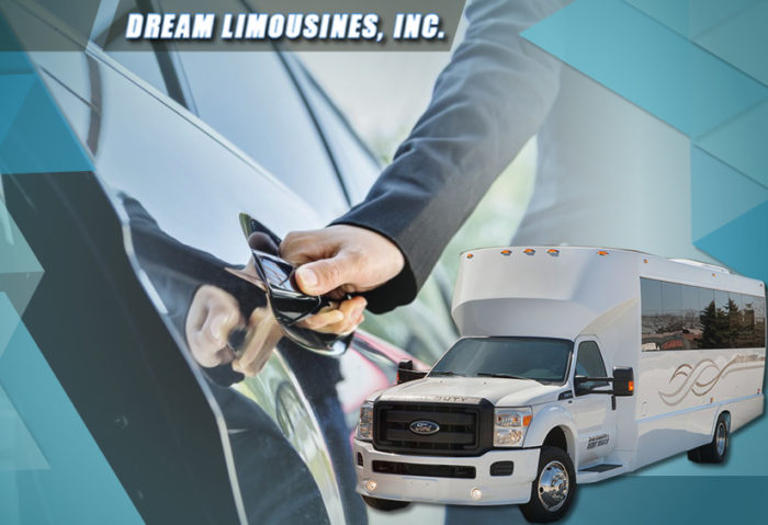 VIP Limo Service